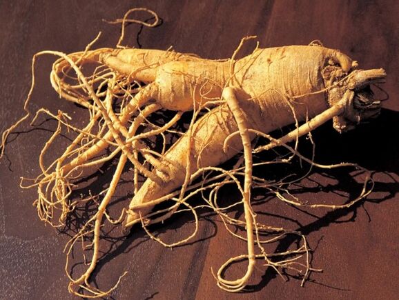 Fréamh ginseng