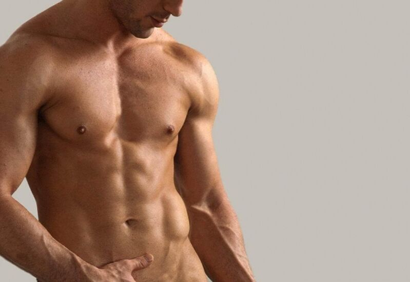 Torso fireann